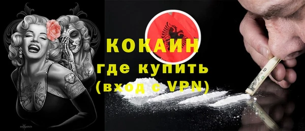 прущие грибы Верхний Тагил