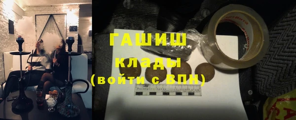 прущие грибы Верхний Тагил