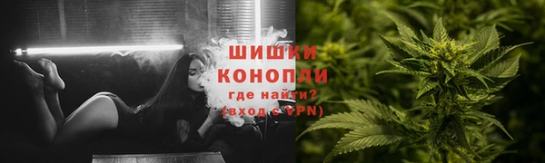 прущие грибы Верхний Тагил
