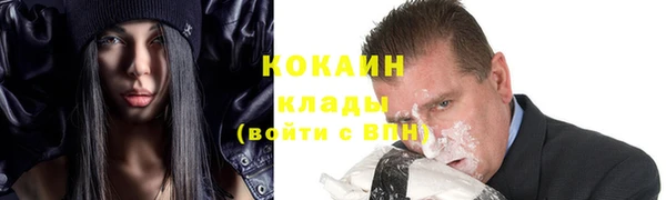 ПСИЛОЦИБИНОВЫЕ ГРИБЫ Верея
