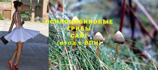 дурь Одинцово