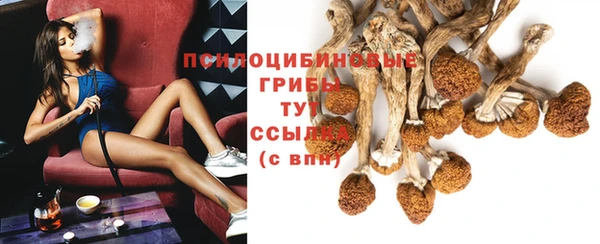 прущие грибы Верхний Тагил
