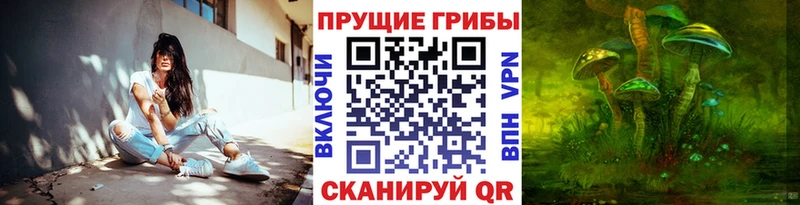 Псилоцибиновые грибы Cubensis  цена наркотик  Железногорск-Илимский 