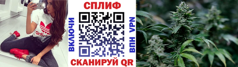 Конопля семена  купить закладку  Железногорск-Илимский 